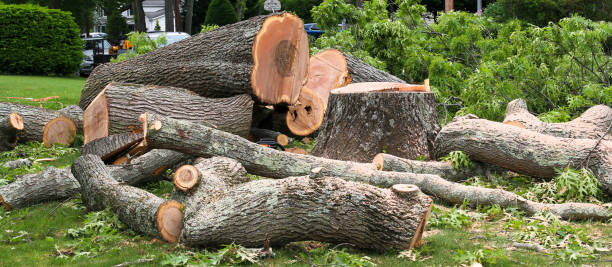 Best Lawn Maintenance Plans  in Mechanicsburg, PA