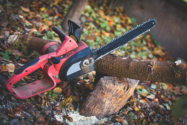 Best Lawn Pest Prevention  in Mechanicsburg, PA